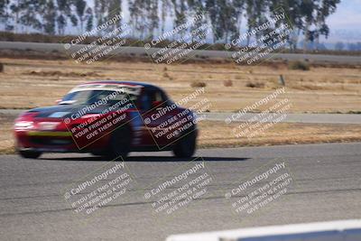 media/Nov-16-2024-CalClub SCCA (Sat) [[641f3b2761]]/Group 4/Grid and Front Straight/